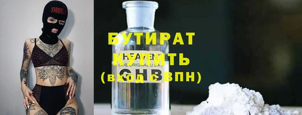индика Кинешма