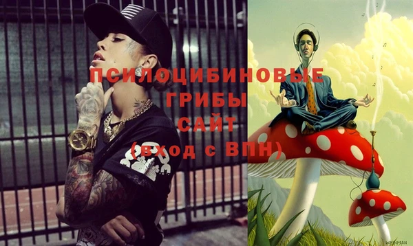 дмт Абинск